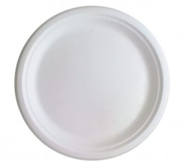 10" Heavy White Paper Plate
