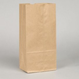 #10 Kraft Paper Bag